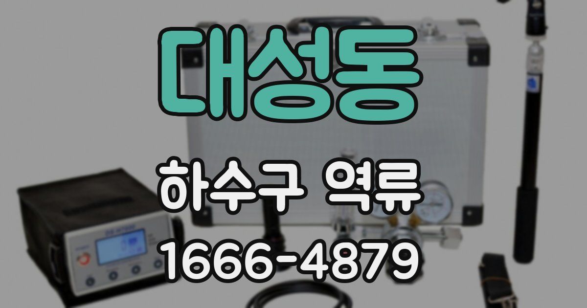 대성동 하수구 역류