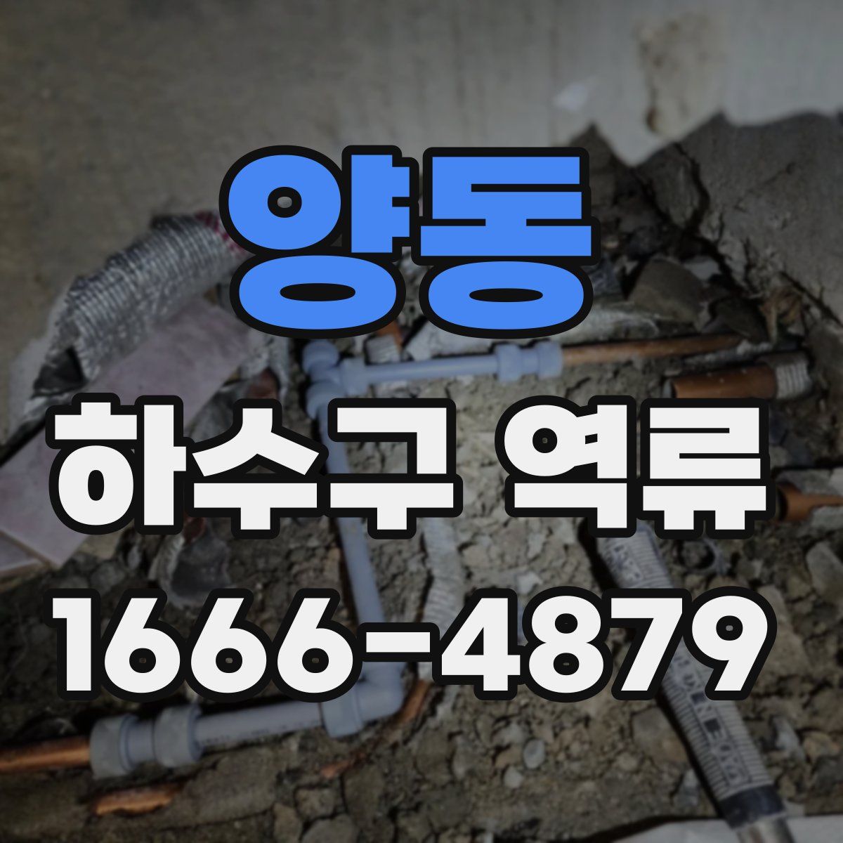 양동 하수구 역류