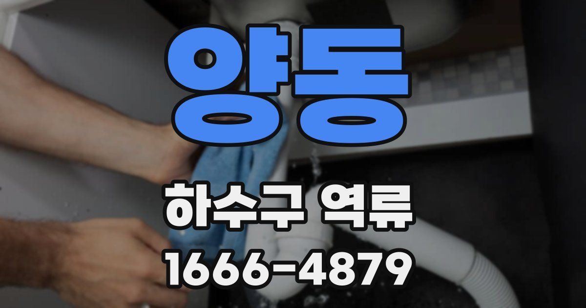 양동 하수구 역류