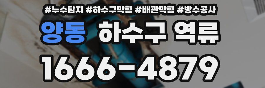 양동 하수구 역류