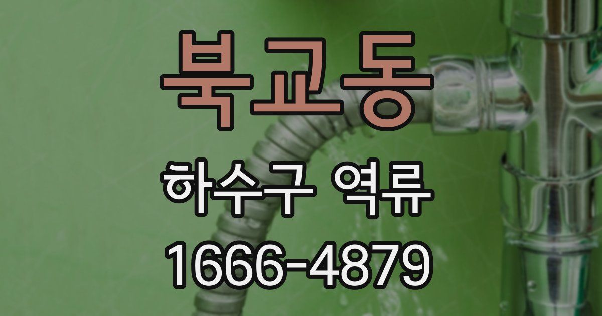 북교동 하수구 역류
