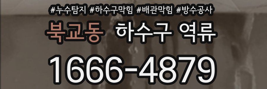 북교동 하수구 역류