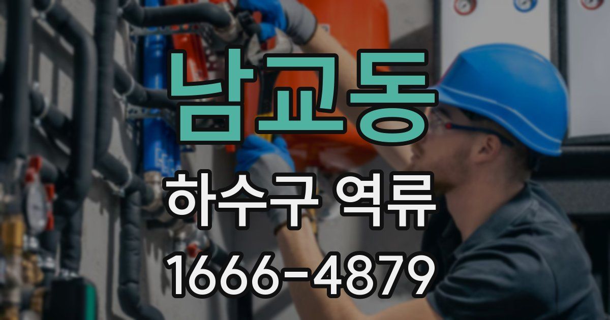 남교동 하수구 역류