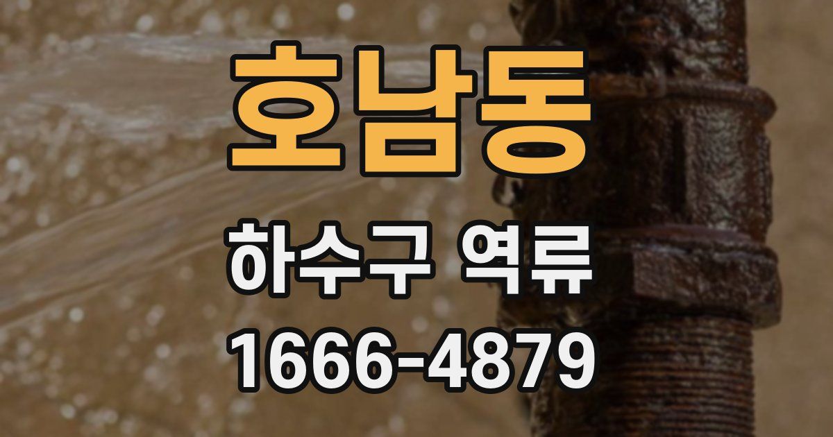 호남동 하수구 역류