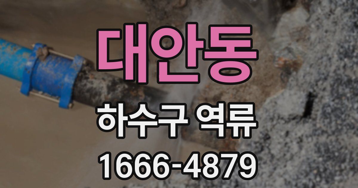 대안동 하수구 역류