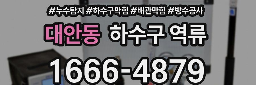 대안동 하수구 역류