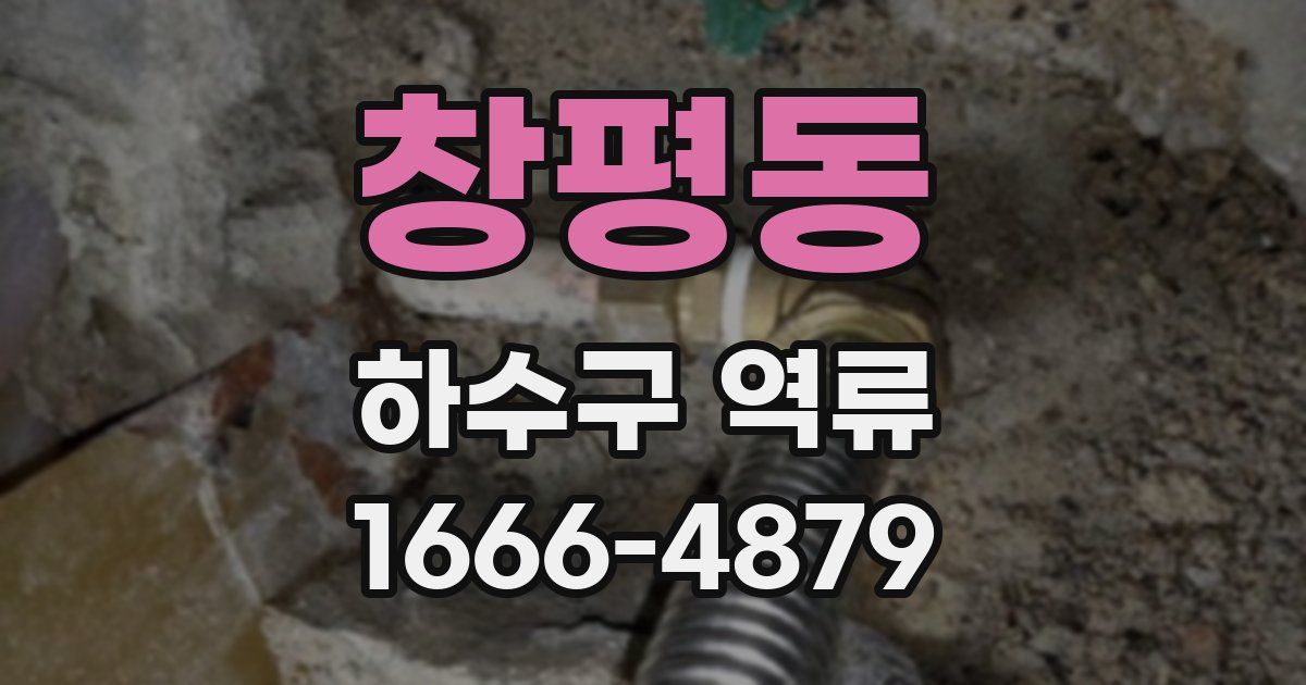 창평동 하수구 역류