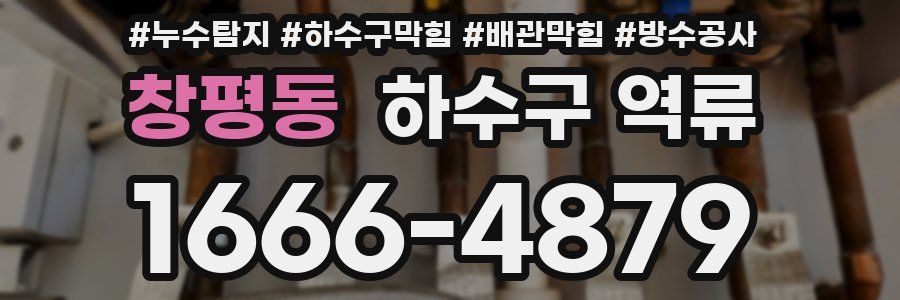 창평동 하수구 역류