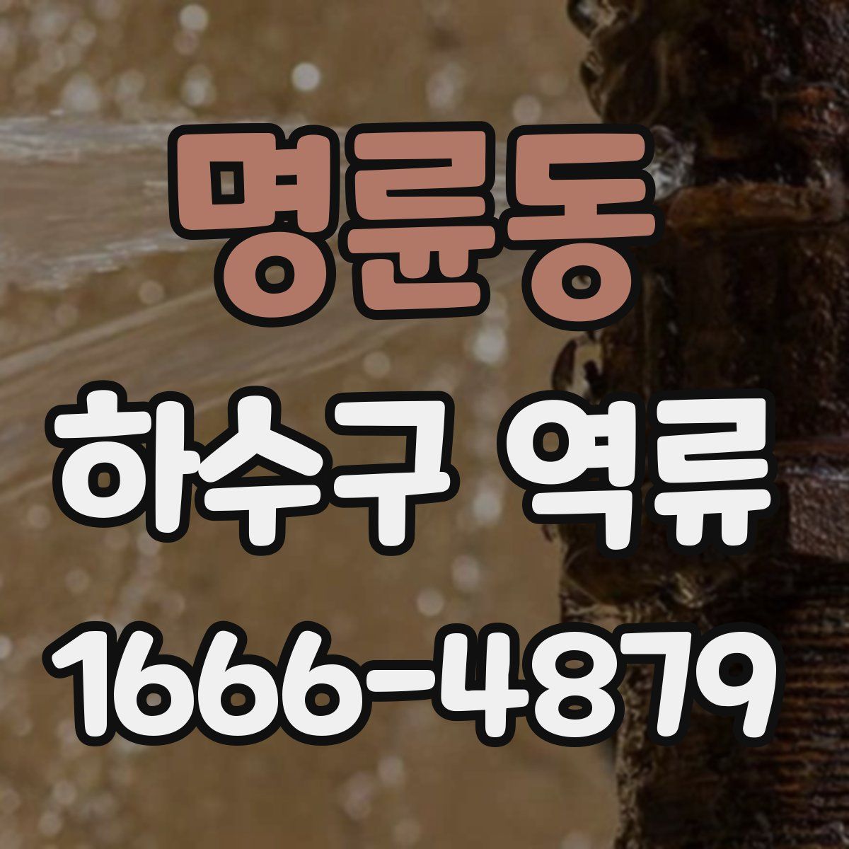 명륜동 하수구 역류