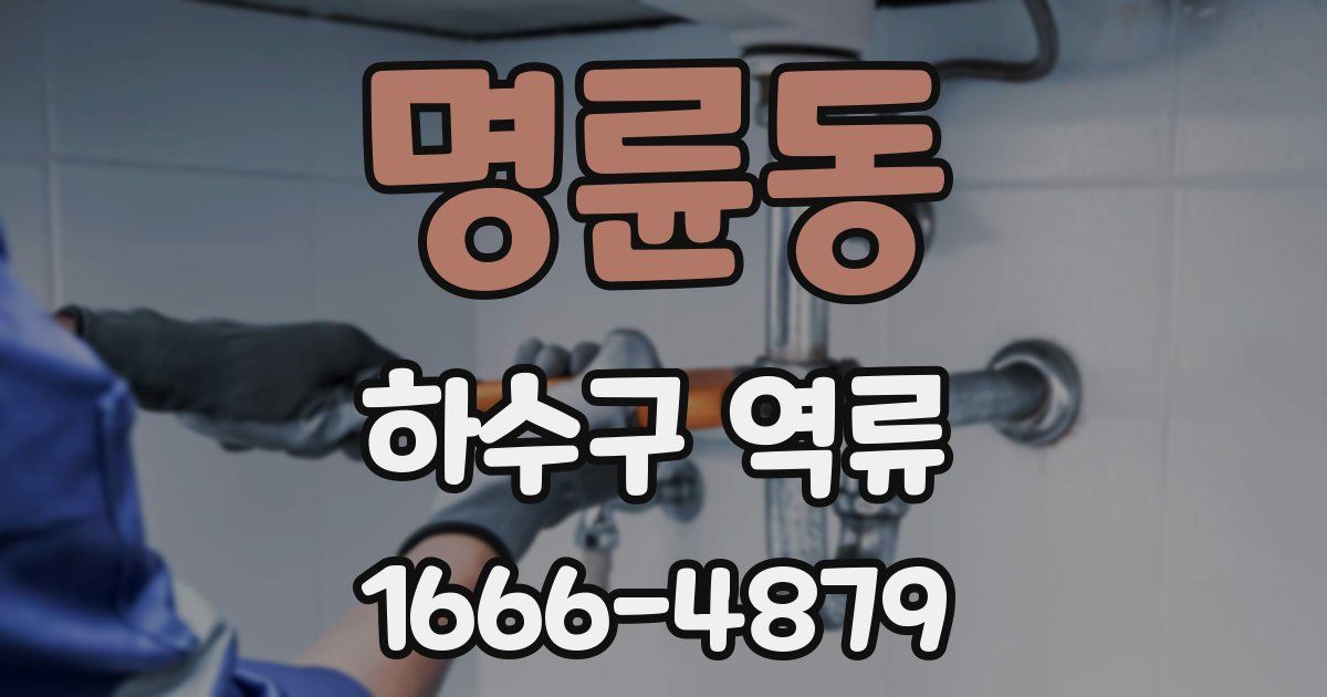 명륜동 하수구 역류