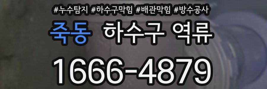 죽동 하수구 역류
