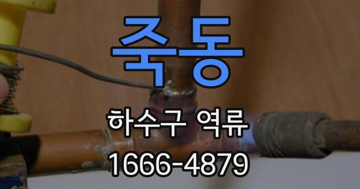 죽동 하수구 역류