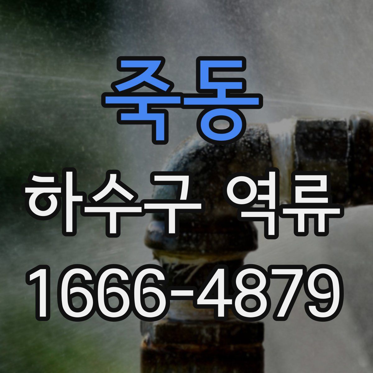 죽동 하수구 역류
