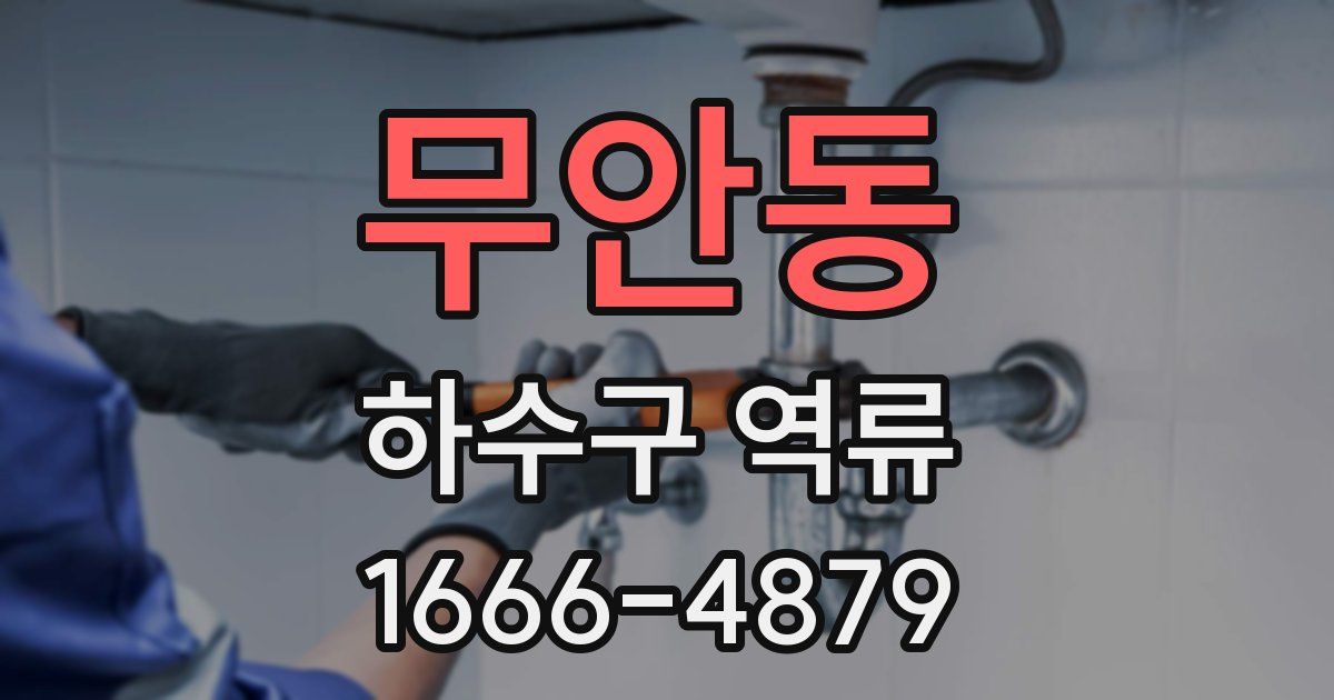 무안동 하수구 역류