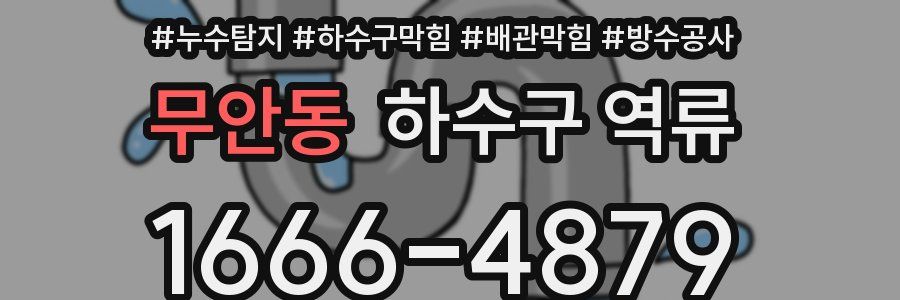 무안동 하수구 역류