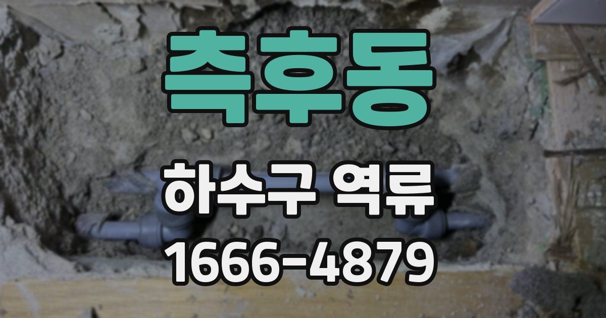 측후동 하수구 역류