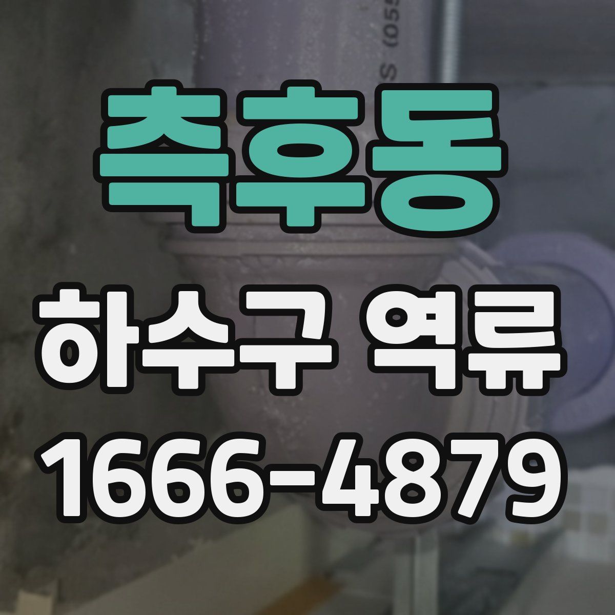 측후동 하수구 역류