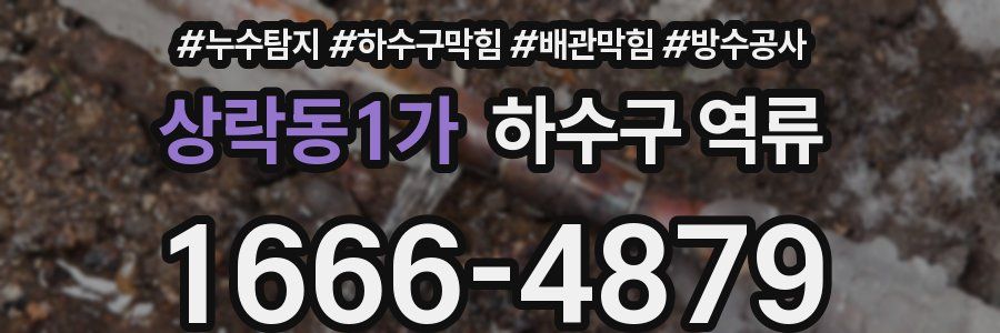 상락동1가 하수구 역류