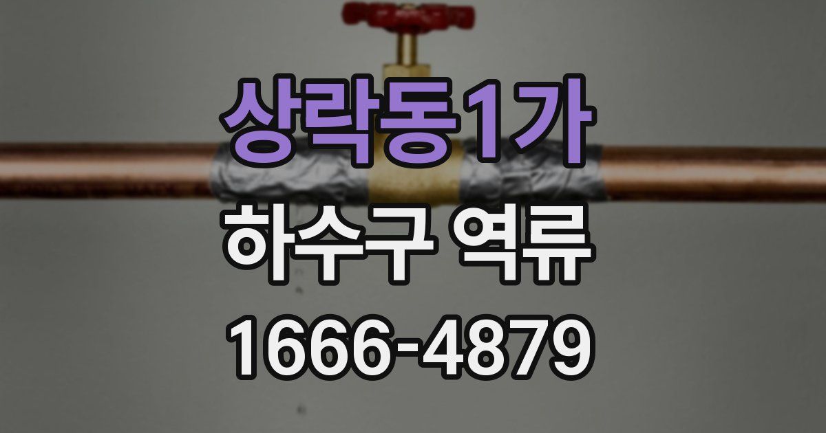 상락동1가 하수구 역류