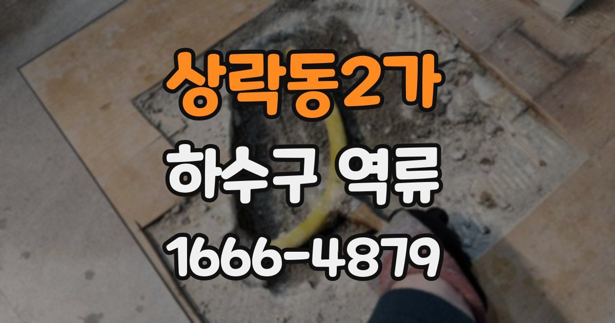 상락동2가 하수구 역류
