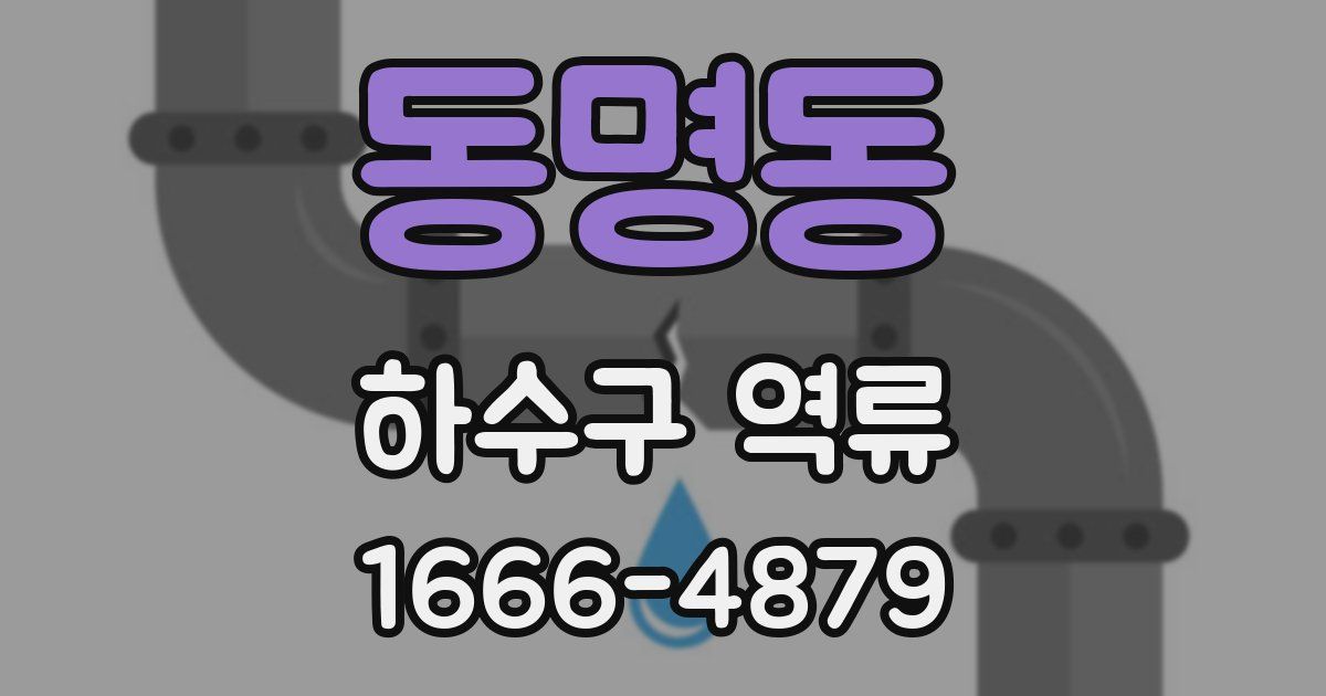 동명동 하수구 역류