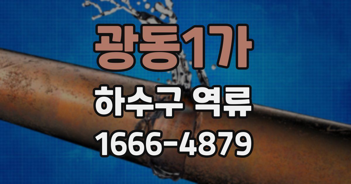 광동1가 하수구 역류