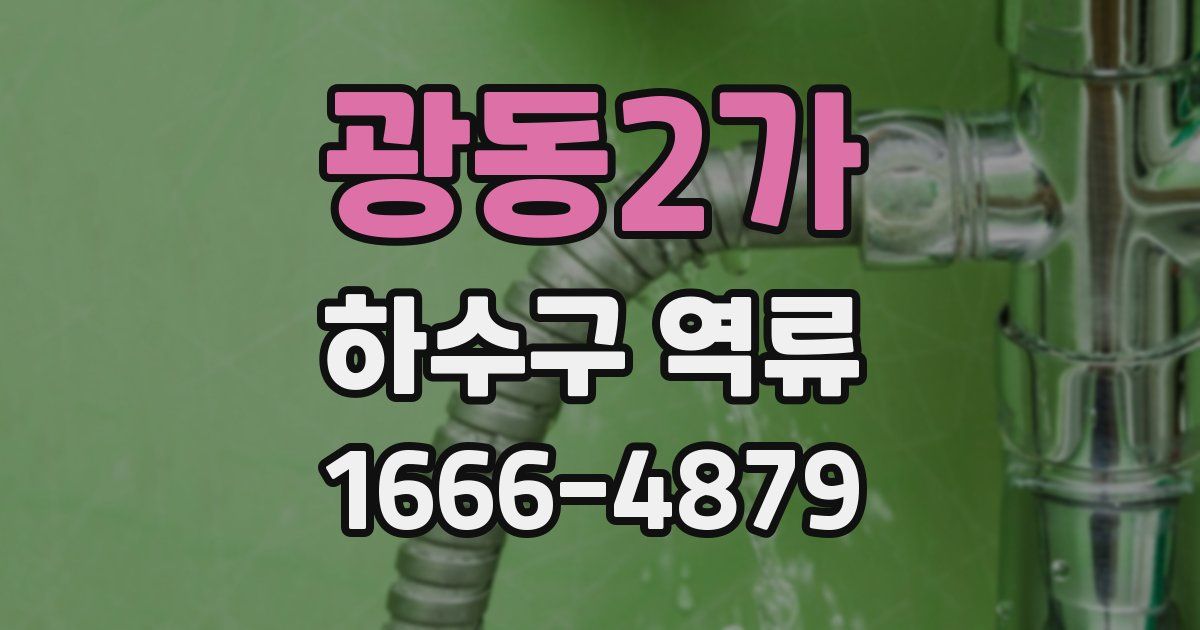 광동2가 하수구 역류