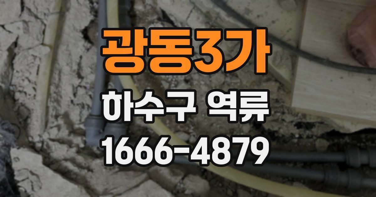광동3가 하수구 역류