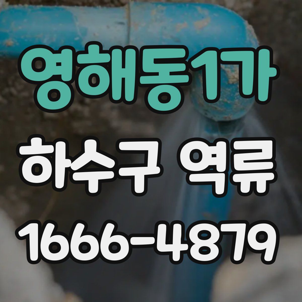영해동1가 하수구 역류