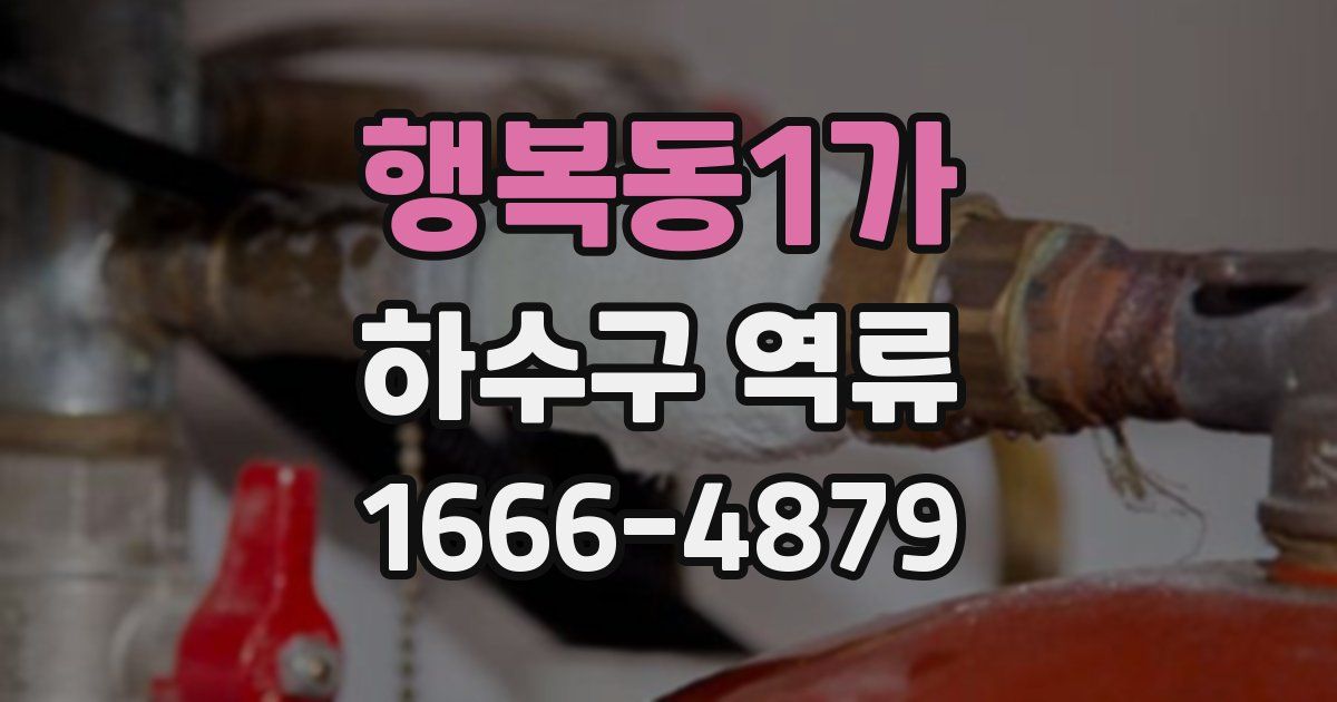 행복동1가 하수구 역류