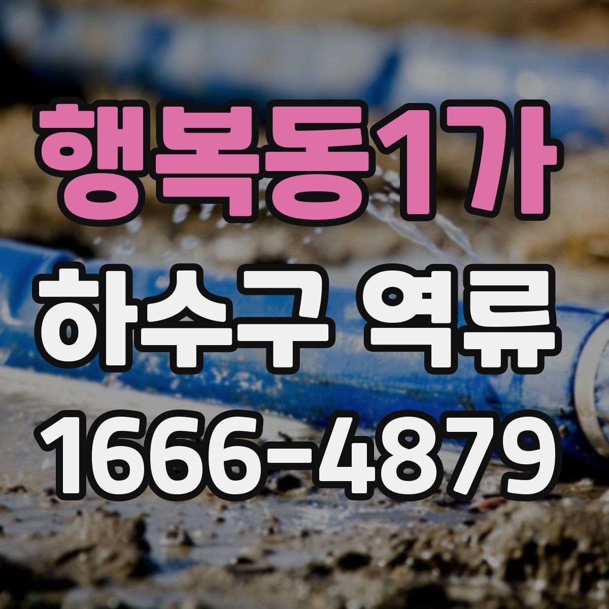 행복동1가 하수구 역류
