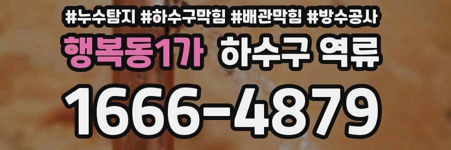 행복동1가 하수구 역류