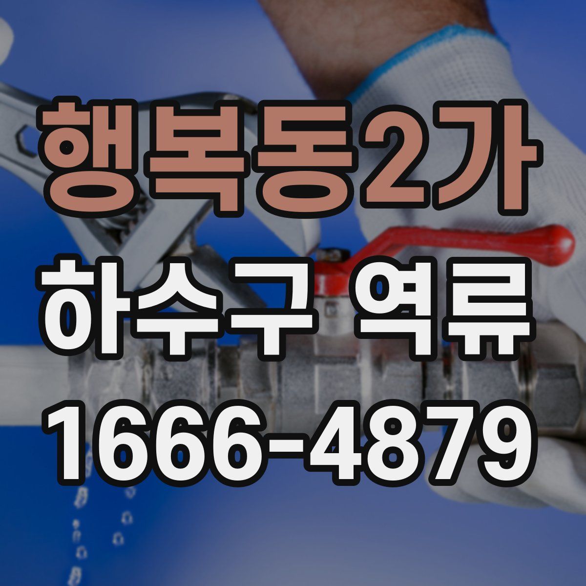 행복동2가 하수구 역류