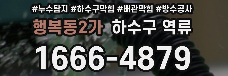 행복동2가 하수구 역류