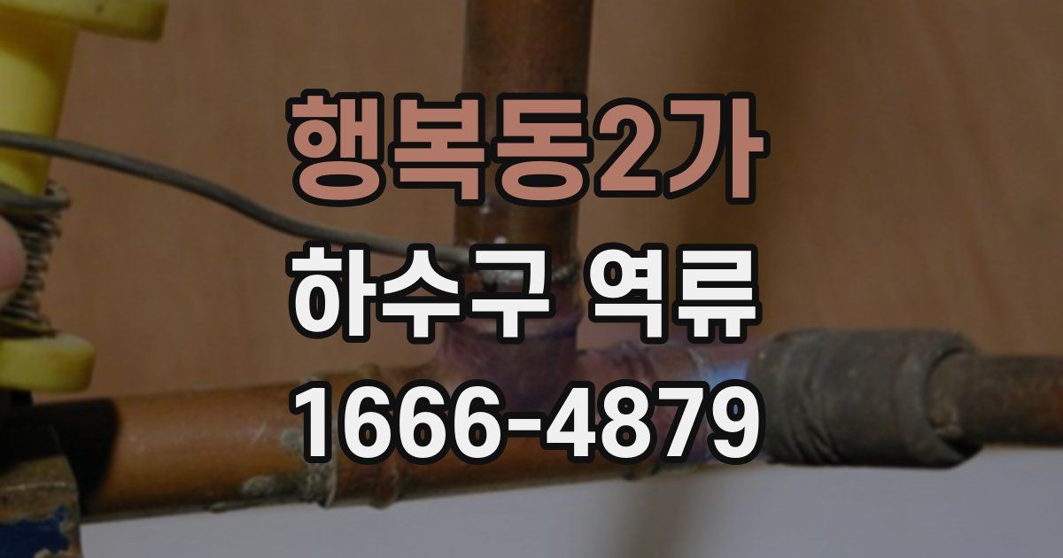 행복동2가 하수구 역류