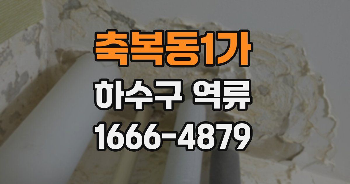 축복동1가 하수구 역류