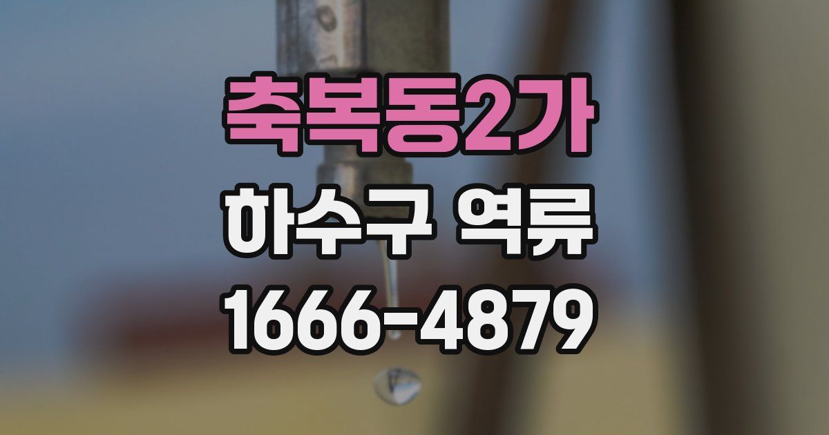축복동2가 하수구 역류