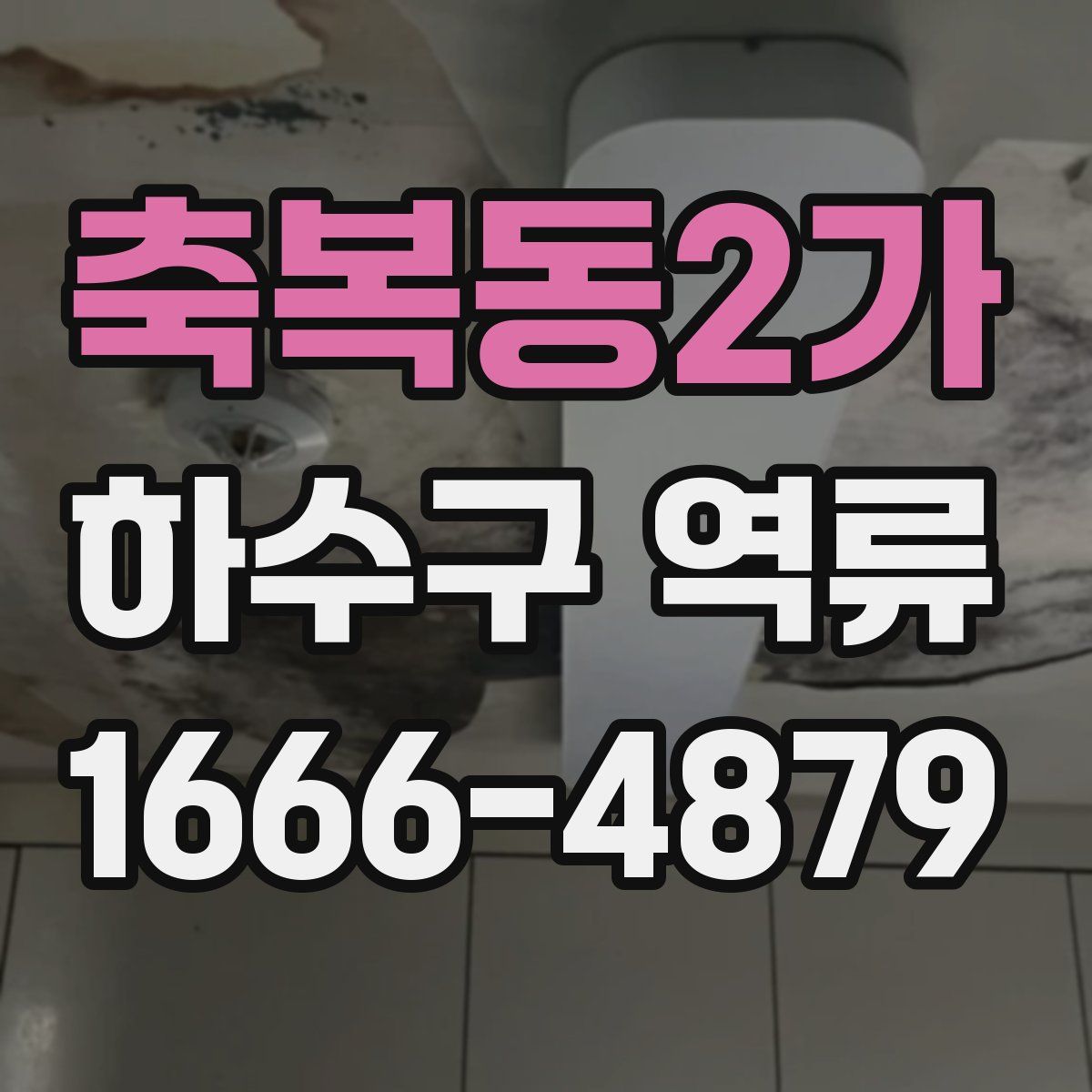 축복동2가 하수구 역류