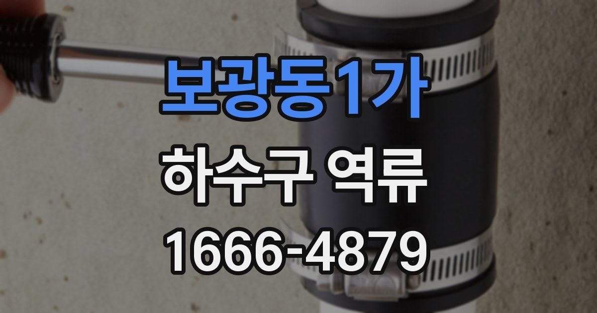 보광동1가 하수구 역류