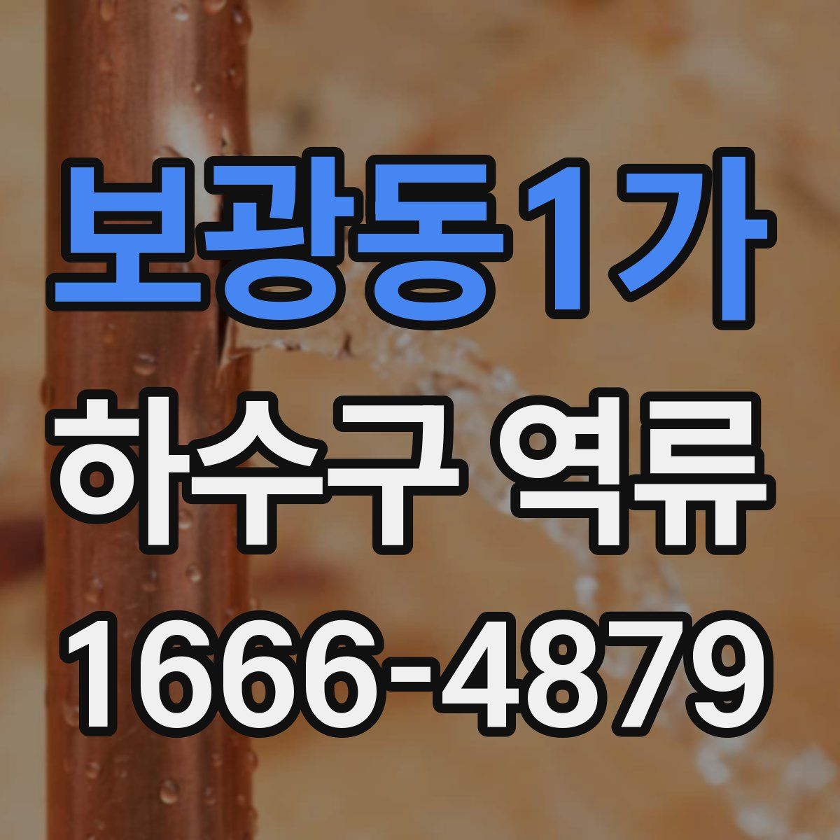 보광동1가 하수구 역류