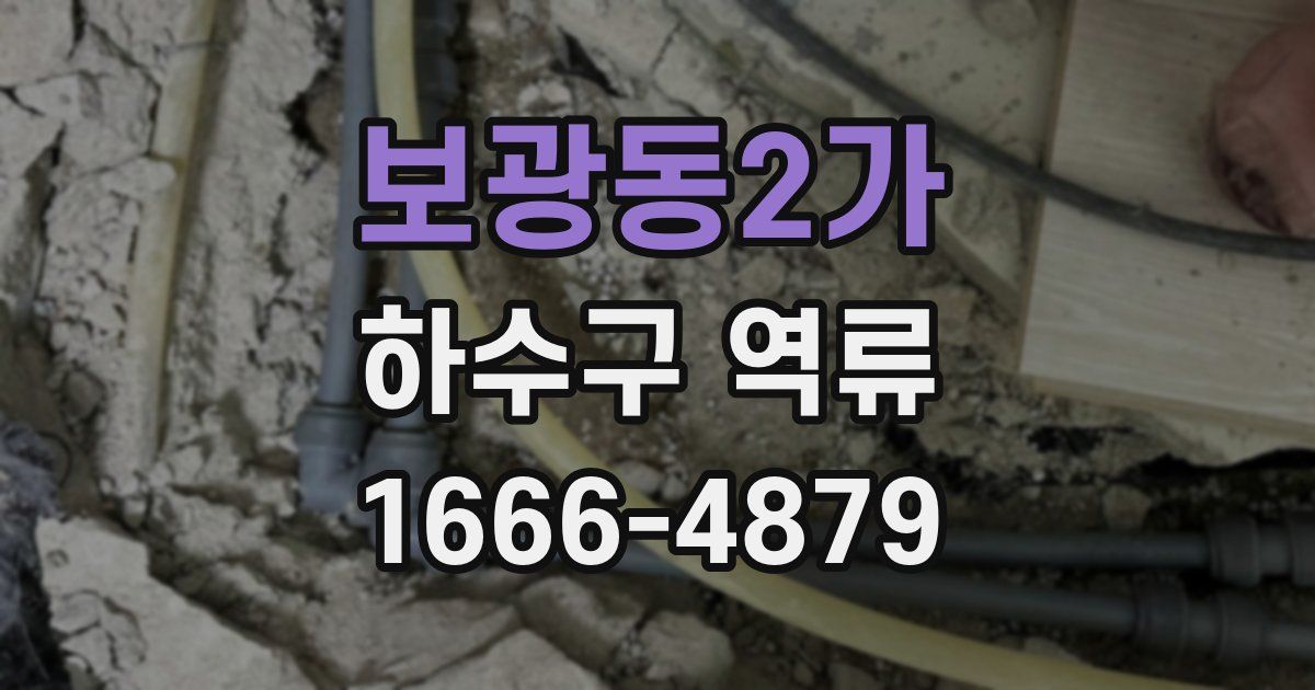보광동2가 하수구 역류