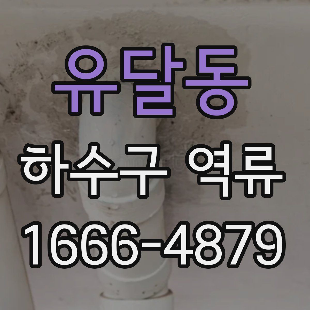 유달동 하수구 역류