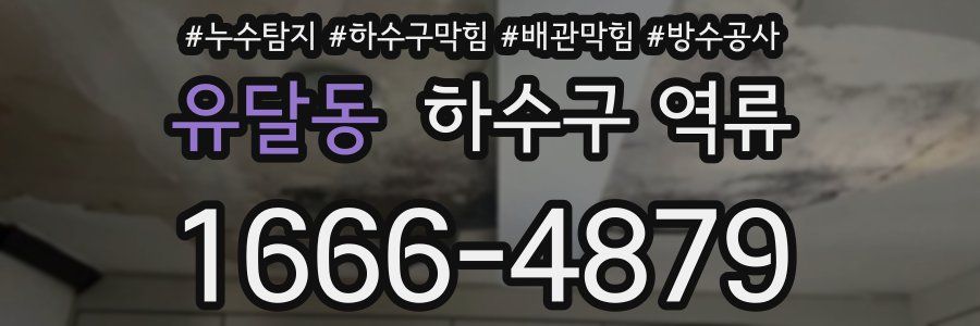 유달동 하수구 역류