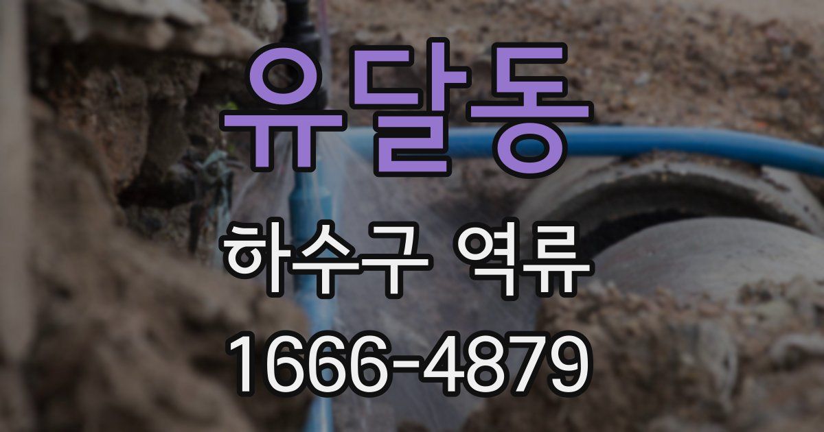 유달동 하수구 역류