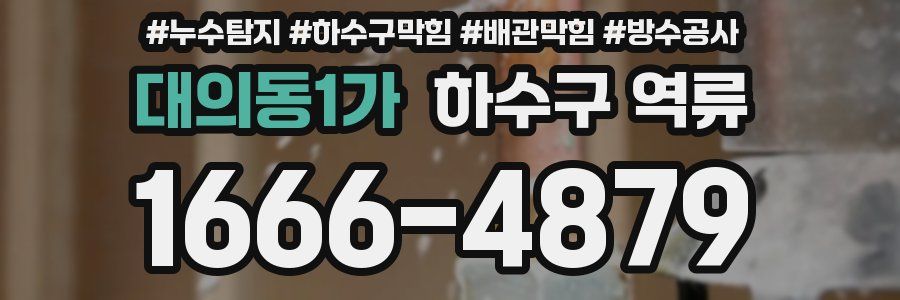 대의동1가 하수구 역류