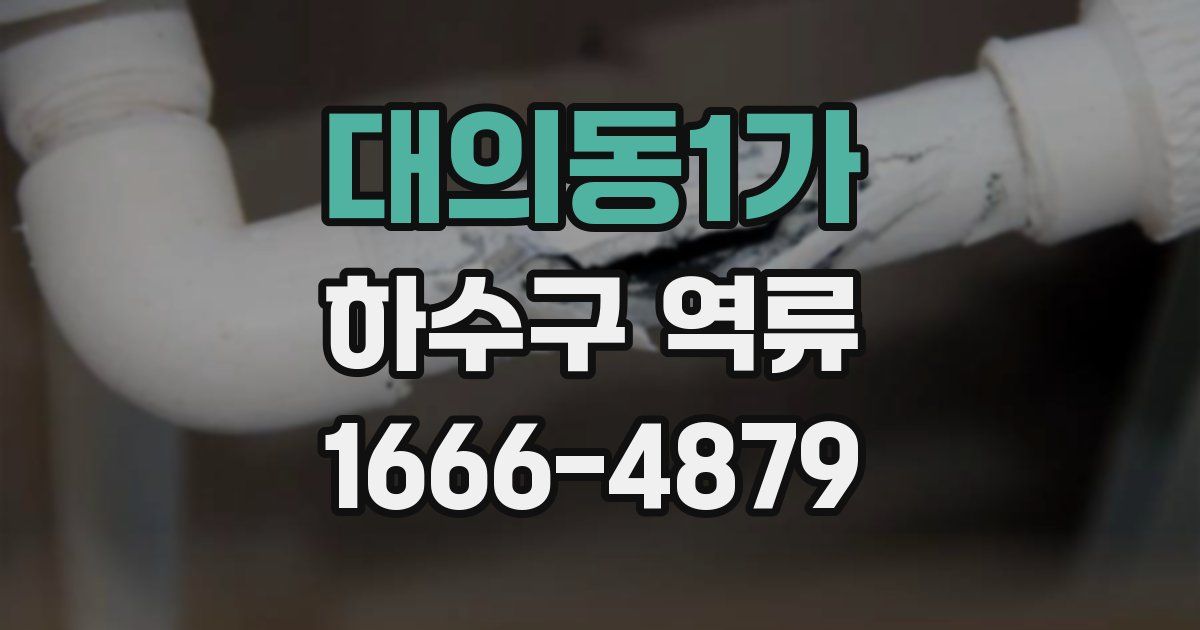 대의동1가 하수구 역류