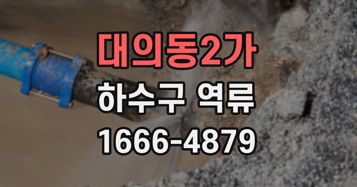 대의동2가 하수구 역류