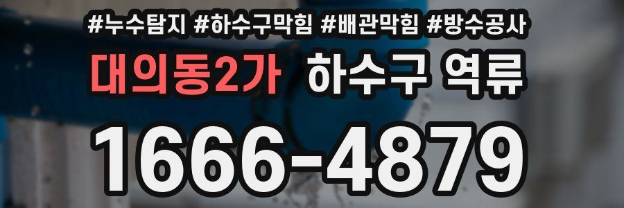대의동2가 하수구 역류