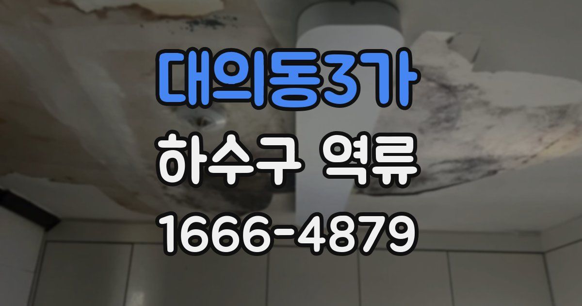 대의동3가 하수구 역류