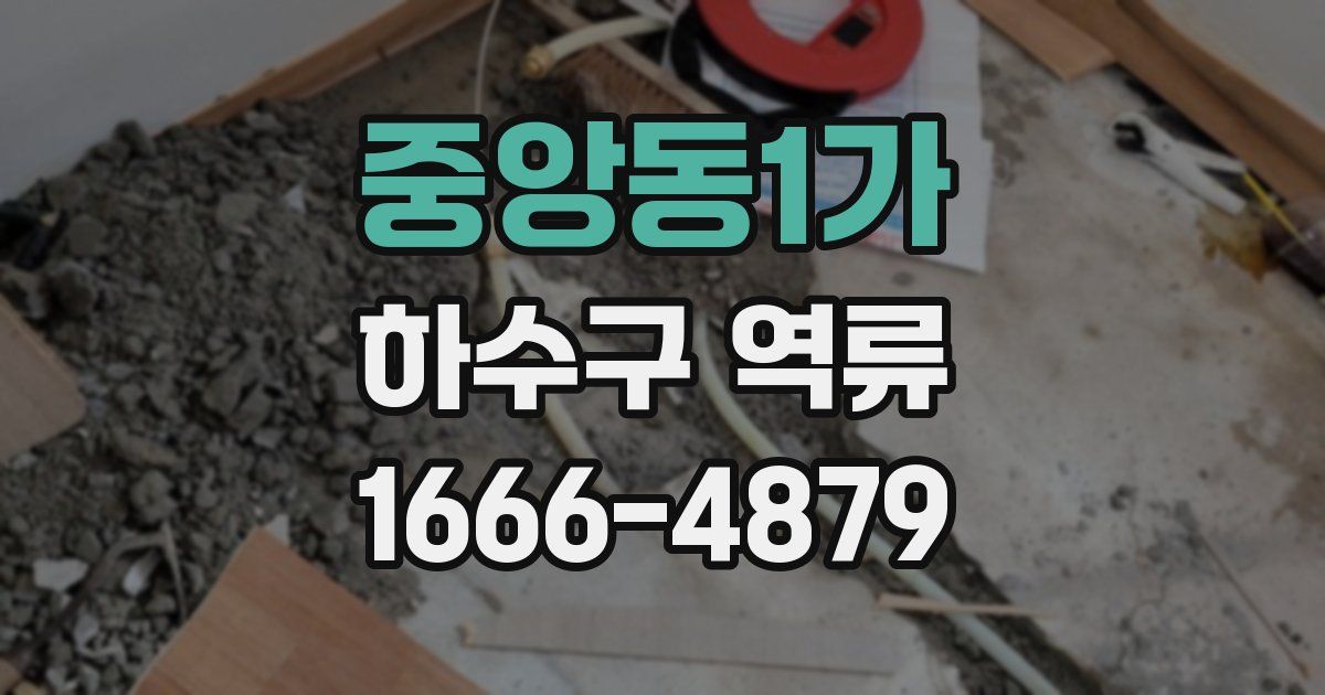 중앙동1가 하수구 역류